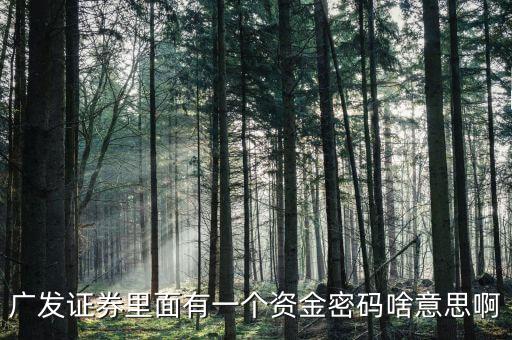 廣發(fā)證券里面有一個資金密碼啥意思啊