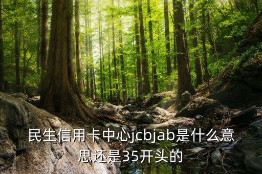民生jcb是什么銀行，民生信用卡中心jcbjab是什么意思還是35開(kāi)頭的