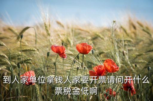 到人家單位拿錢(qián)人家要開(kāi)票請(qǐng)問(wèn)開(kāi)什么票稅金低啊