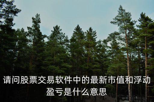 請(qǐng)問(wèn)股票交易軟件中的最新市值和浮動(dòng)盈虧是什么意思