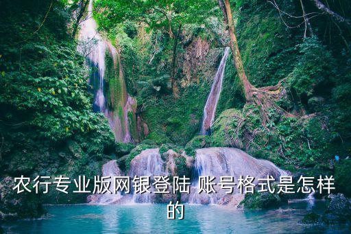 農(nóng)行專業(yè)版網(wǎng)銀登陸 賬號格式是怎樣的