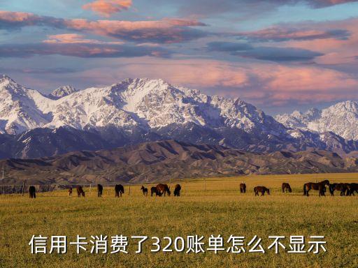信用卡賬單為什么沒有顯示，交行的信用卡為什么我查帳單查不到啊