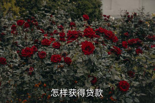 怎樣獲得貸款