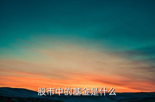 股市中的基金是什么