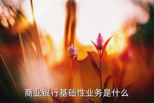銀行基礎(chǔ)業(yè)務(wù)是什么樣的，商業(yè)銀行基礎(chǔ)性業(yè)務(wù)是什么