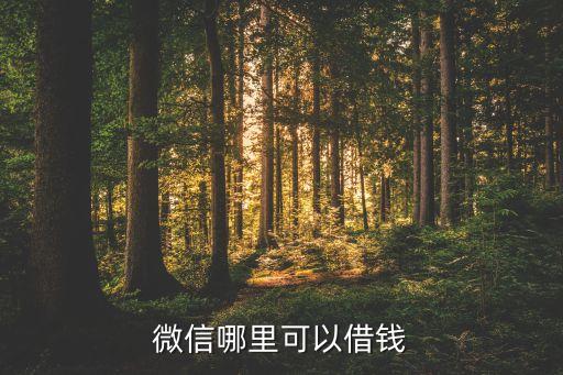 微信哪里可以借錢