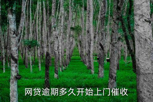網(wǎng)貸逾期多久開始上門催收