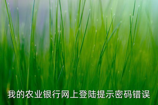 我的農(nóng)業(yè)銀行網(wǎng)上登陸提示密碼錯(cuò)誤