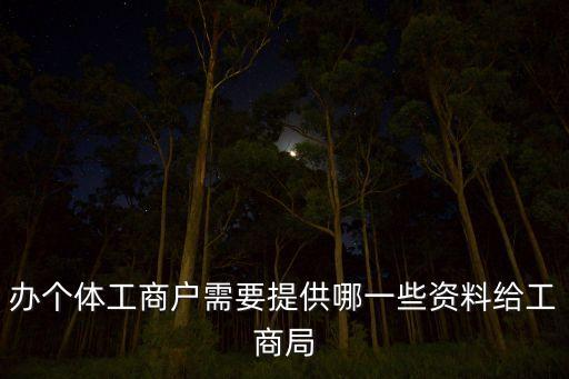 辦個(gè)體工商戶需要提供哪一些資料給工商局