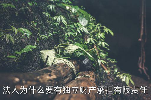 為什么人財富有限責(zé)任公司，法人為什么要有獨立財產(chǎn)承擔(dān)有限責(zé)任