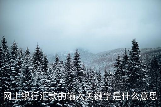 網(wǎng)上銀行匯款的輸入關(guān)鍵字是什么意思