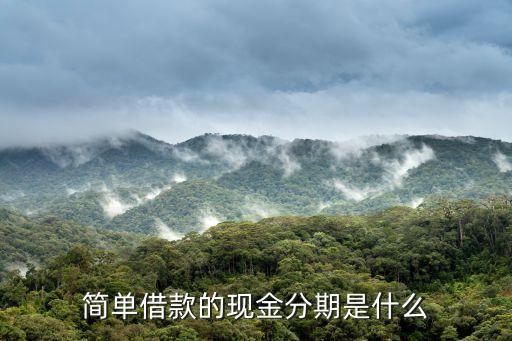 簡單借款的現(xiàn)金分期是什么