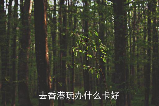 去香港玩辦什么卡好