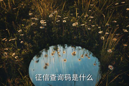 征信查詢碼是什么