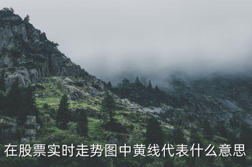股票行情黃線代表什么意思，在股票實(shí)時(shí)走勢(shì)圖中黃線代表什么意思