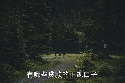 有哪些貸款的正規(guī)口子