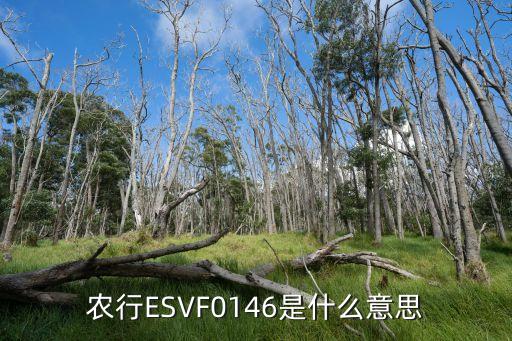 遼寧農(nóng)行123456是什么意思，農(nóng)行信用卡支持3691224啥意思