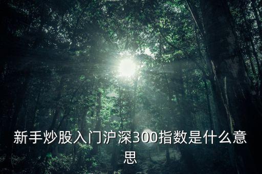 新手炒股入門滬深300指數(shù)是什么意思