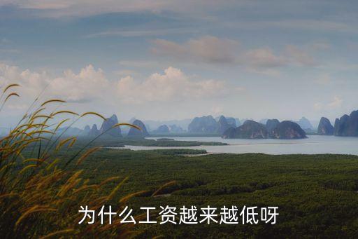 為什么工資越來越少了，工資為什么越來越少