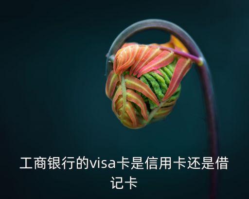 工商銀行的visa卡是信用卡還是借記卡