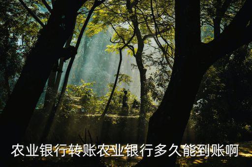 農(nóng)業(yè)銀行轉(zhuǎn)賬農(nóng)業(yè)銀行多久能到賬啊