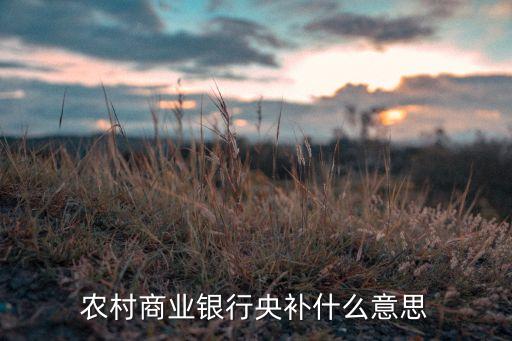 農(nóng)村商業(yè)銀行央補(bǔ)什么意思