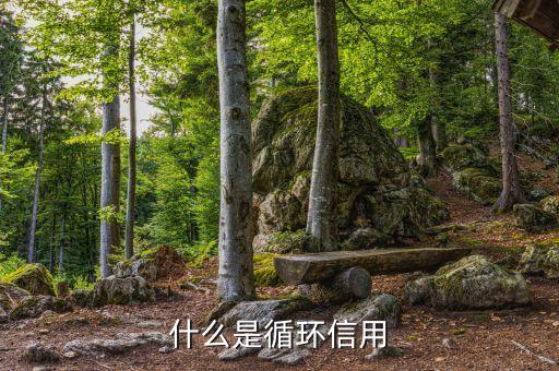 什么是循環(huán)信用