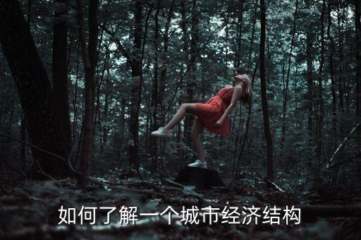 如何了解一個城市經(jīng)濟結(jié)構(gòu)