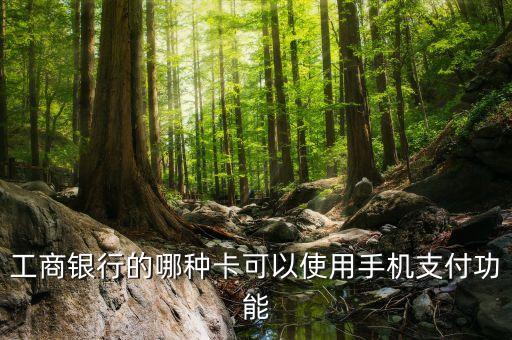 工行手機(jī)刷是什么卡，工商銀行的哪種卡可以使用手機(jī)支付功能