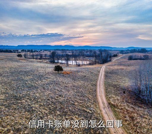 信用卡賬單沒到怎么回事