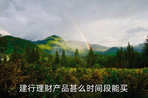 建行理財產(chǎn)品甚么時間段能買