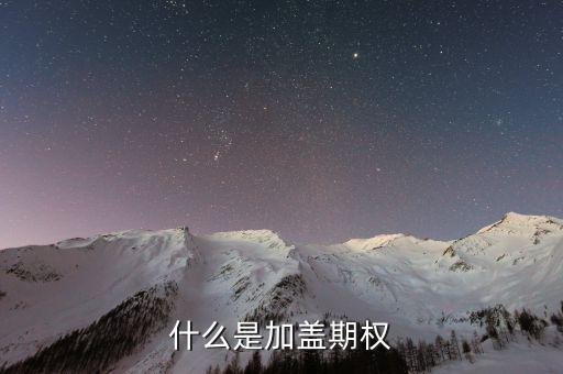 加蓋遠期什么意思，遠期 即期分別是什么意思