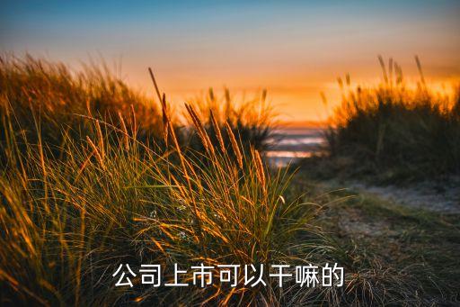公司上市可以干嘛的
