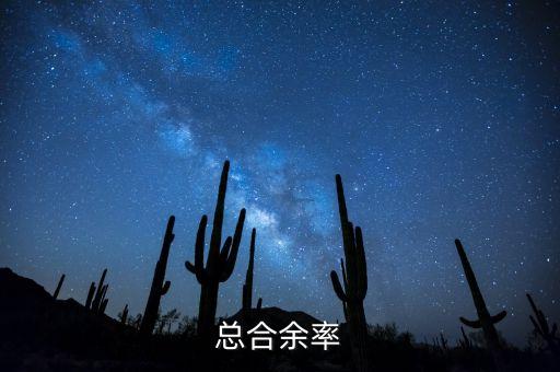什么是余率，總合余率