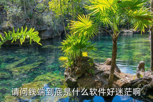 蘭州銀行隨e存是什么，請(qǐng)問(wèn)錢(qián)端到底是什么軟件好迷茫啊