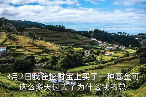 3月2日我在挖財(cái)寶上買了一種基金可這么多天過去了為什么我的總