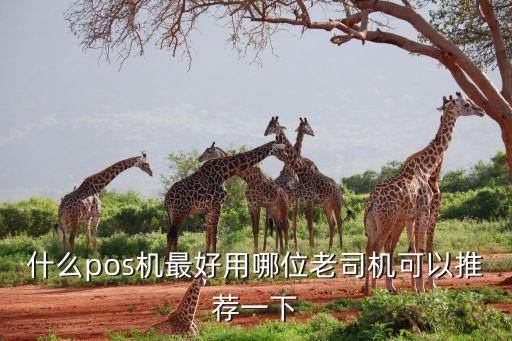 什么pos機(jī)最好用哪位老司機(jī)可以推薦一下