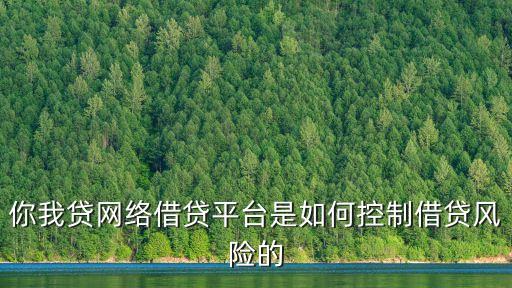 你我貸網(wǎng)絡(luò)借貸平臺(tái)是如何控制借貸風(fēng)險(xiǎn)的