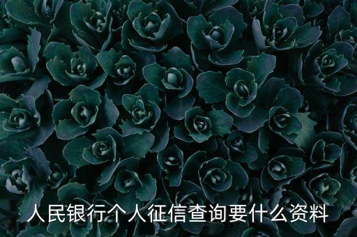 人民銀行個(gè)人征信查詢要什么資料
