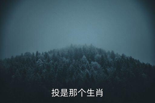 行投是什么意思是什么生肖，結(jié)伴而行讀書人棄暗投明定春秋是什么意思
