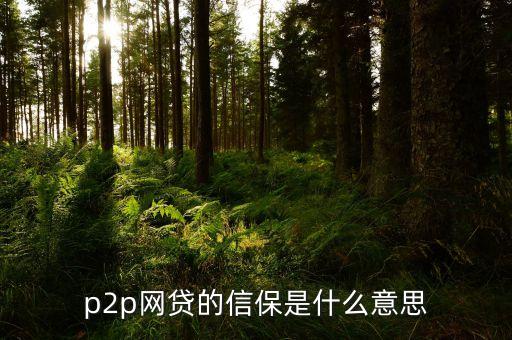 信保p2p車(chē)主貸是什么意思，p2p網(wǎng)貸的信保是什么意思