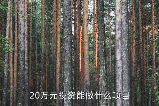 資金20萬投資什么，20萬元投資能做什么項目