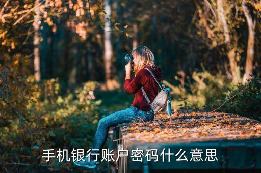 手機銀行賬戶密碼什么意思