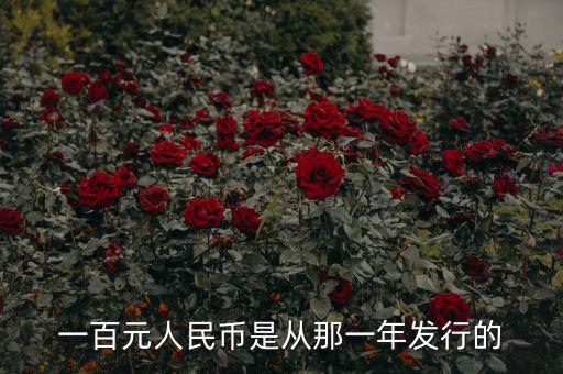 一百元人民幣是從那一年發(fā)行的