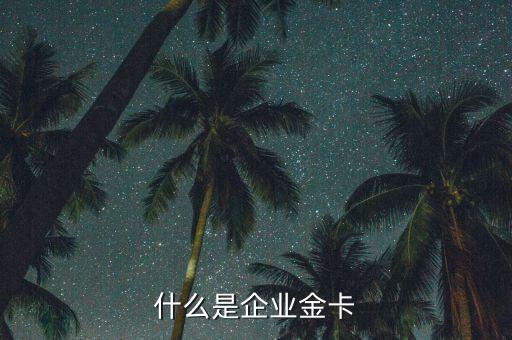 什么是企業(yè)金卡