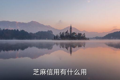 芝麻信用有什么用