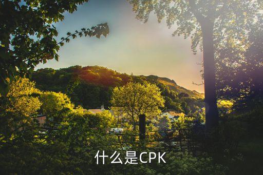 對手價是什么，什么是對偶價格