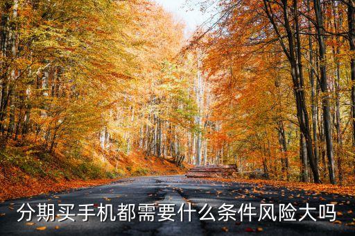 分期買手機都需要什么條件風險大嗎