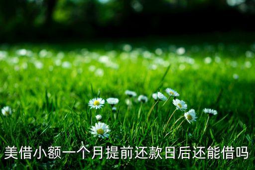 美借什么時(shí)候借款，大家知道有美哪貸嗎容易貸下來(lái)嗎得多長(zhǎng)的時(shí)間啊