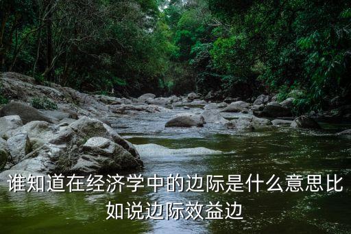 什么是邊際變化，西方經(jīng)濟學哩的邊際一詞是何意思